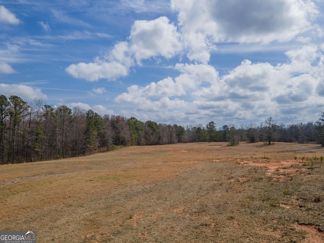 view of local wilderness featuring a forest view