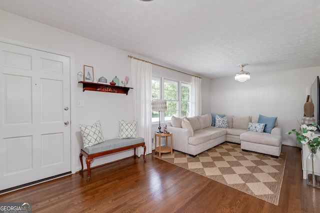 living room featuring wood-type flooring and a textured ceiling