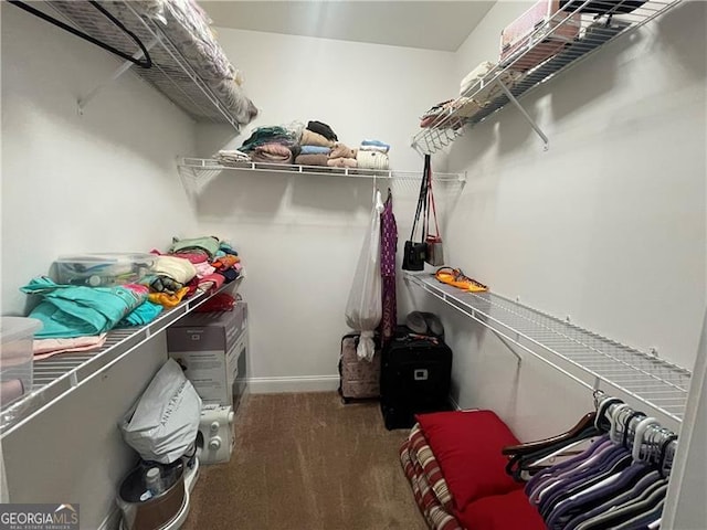 spacious closet featuring carpet flooring