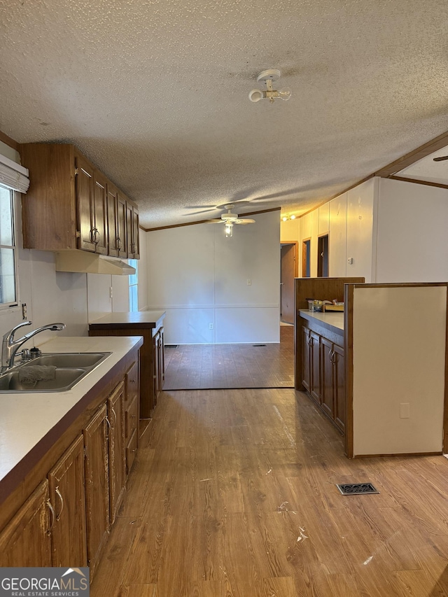 kitchen with ceiling fan, light hardwood / wood-style floors, sink, and a textured ceiling