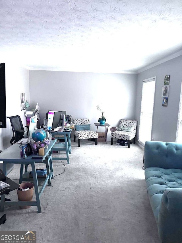 living room with crown molding, carpet floors, and a textured ceiling