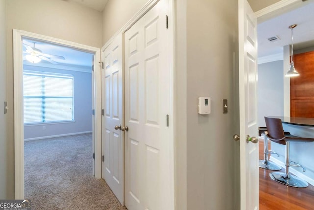 corridor featuring ornamental molding and carpet