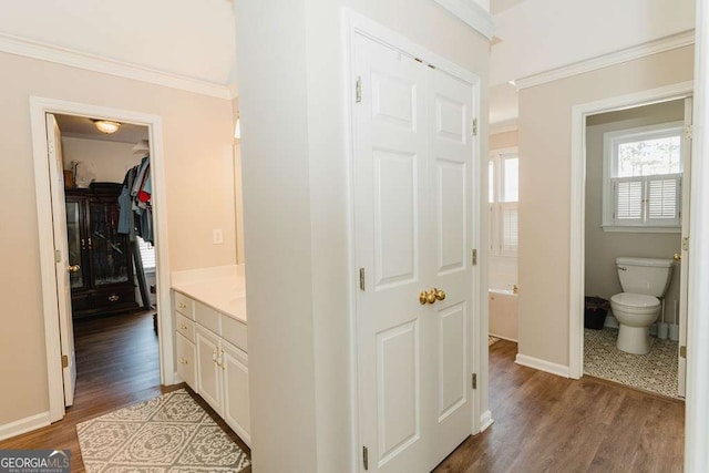 corridor with crown molding and dark wood-type flooring