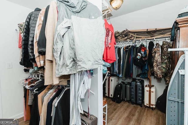 spacious closet with wood-type flooring