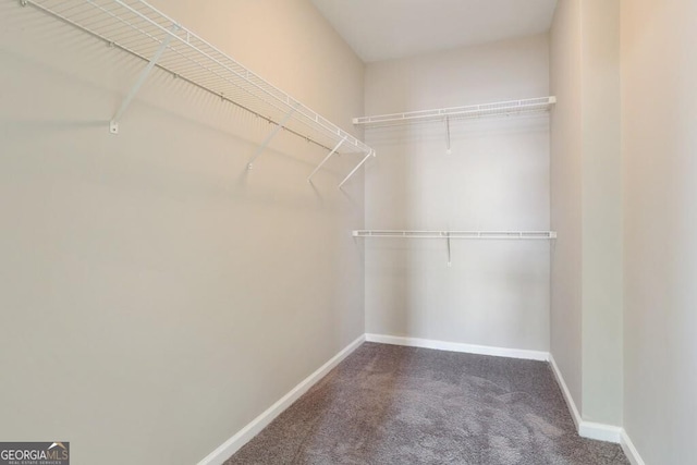 walk in closet featuring carpet