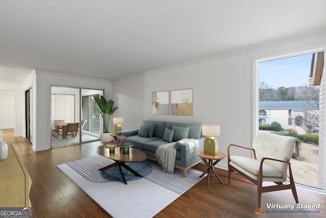 living room featuring crown molding and dark hardwood / wood-style floors