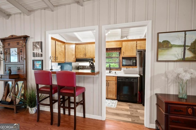 kitchen with sink, light hardwood / wood-style flooring, and black appliances