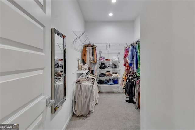 walk in closet with carpet flooring