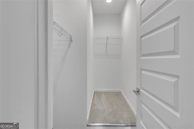 spacious closet with carpet floors