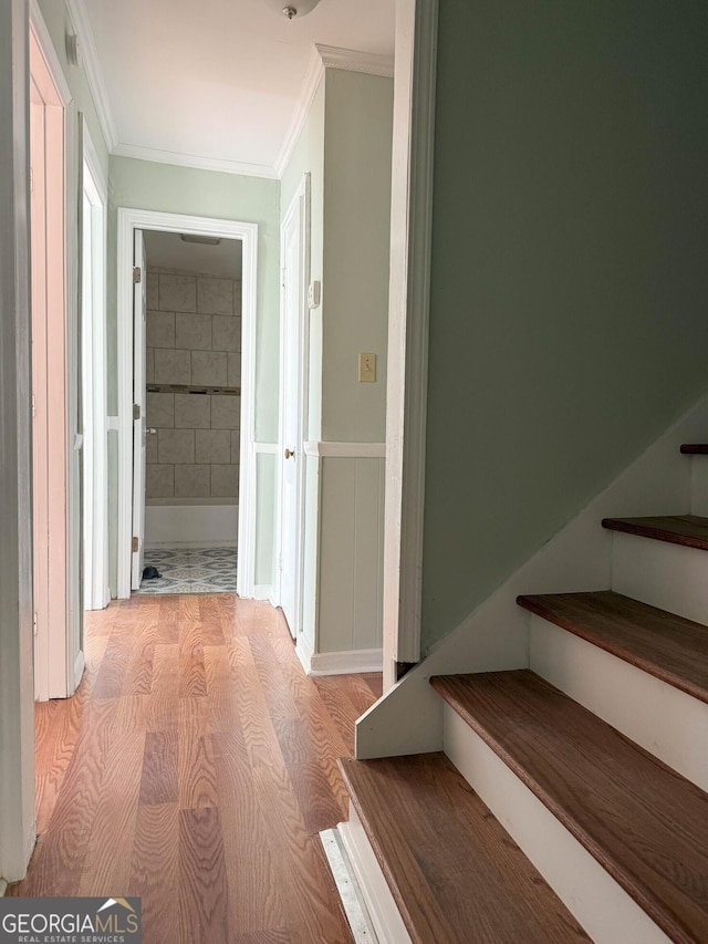 corridor featuring ornamental molding and light wood-type flooring