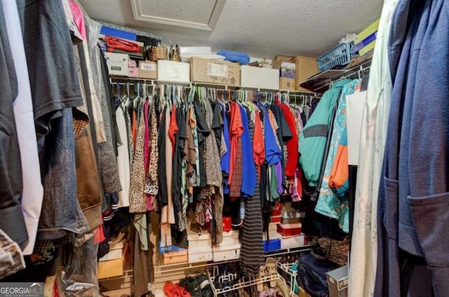 view of walk in closet