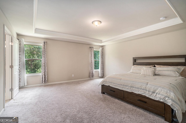 carpeted bedroom with a raised ceiling and multiple windows