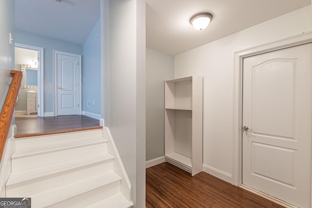 staircase with hardwood / wood-style floors