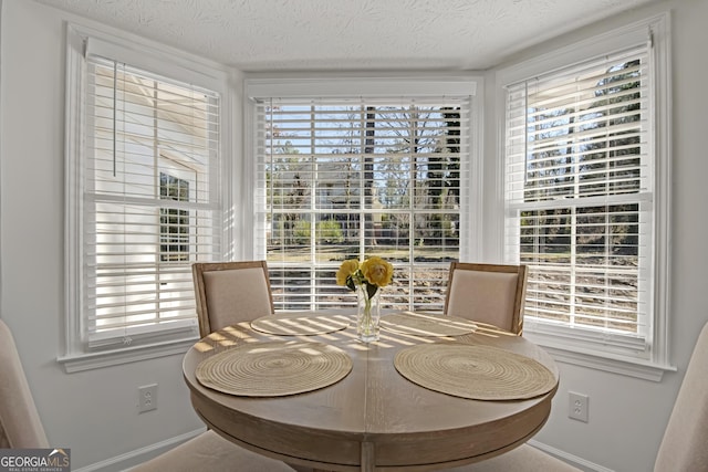 dining area with a healthy amount of sunlight and a textured ceiling