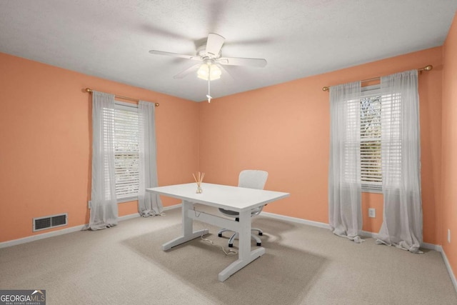 carpeted office space featuring plenty of natural light and ceiling fan