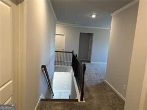 staircase featuring crown molding and carpet floors