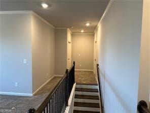 stairway with ornamental molding and carpet flooring