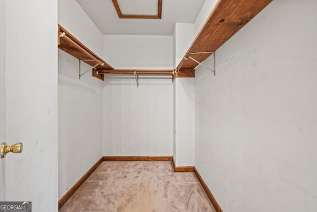 spacious closet featuring light carpet