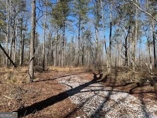 409 Lively Rd, Waco GA, 30182 land for sale