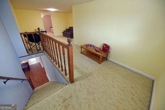 stairway with carpet flooring