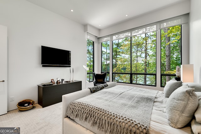 bedroom featuring multiple windows