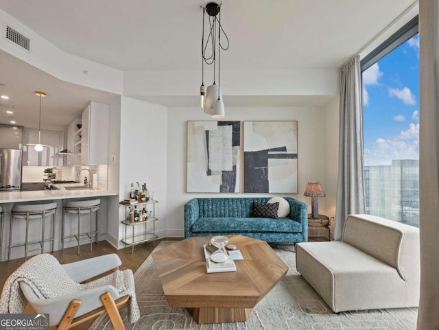 living room with wood-type flooring, sink, and floor to ceiling windows