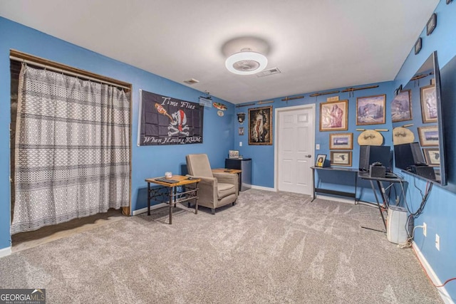 sitting room featuring carpet floors