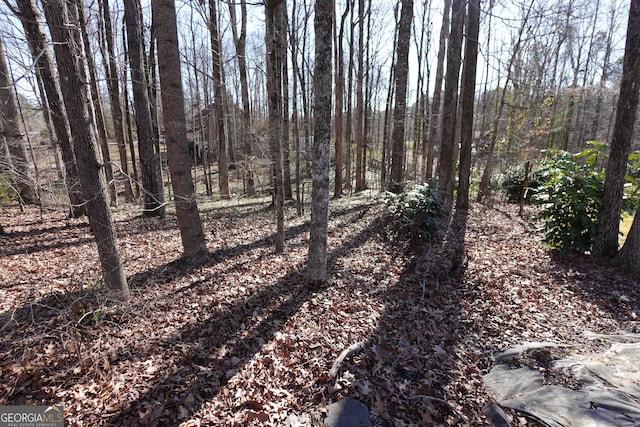 view of landscape featuring a forest view