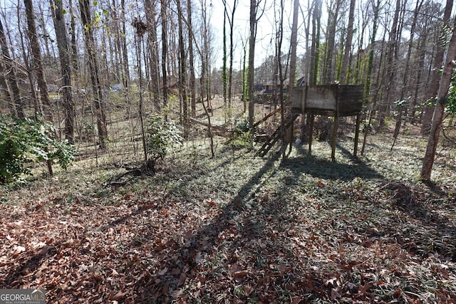 view of local wilderness with a view of trees