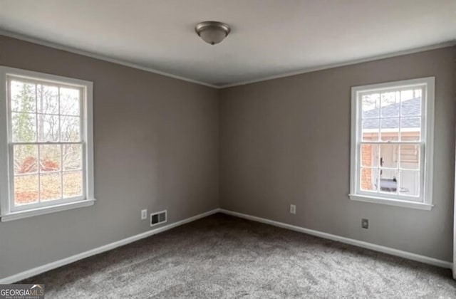 empty room featuring carpet floors