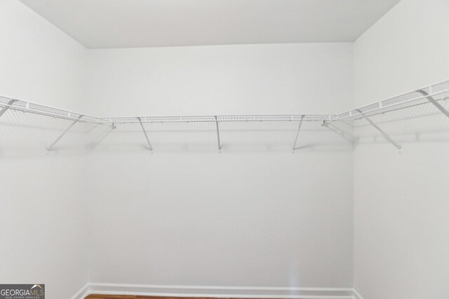 spacious closet featuring dark wood-type flooring