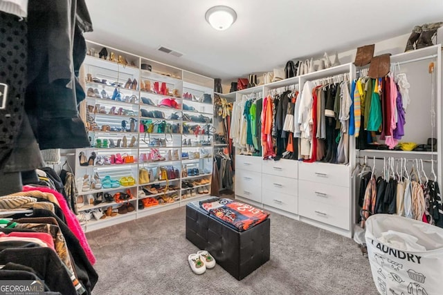 walk in closet with carpet flooring