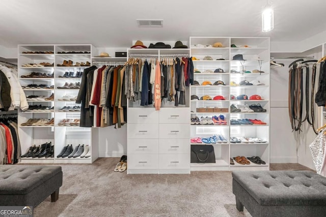 spacious closet with light colored carpet