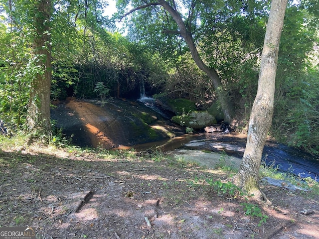 view of local wilderness