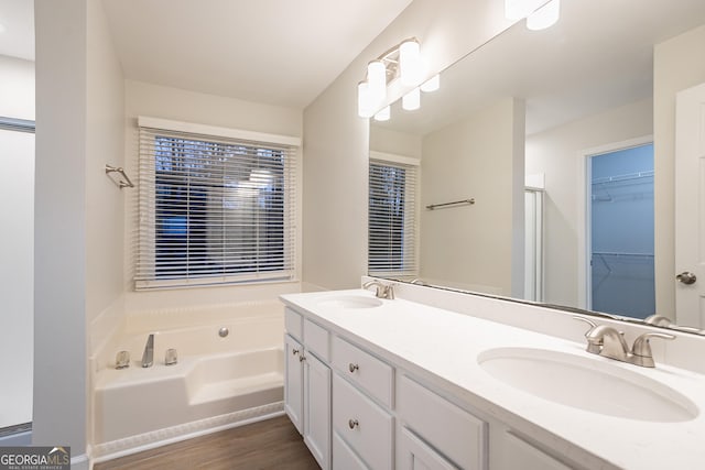 bathroom featuring vanity, a bathtub, and wood-type flooring