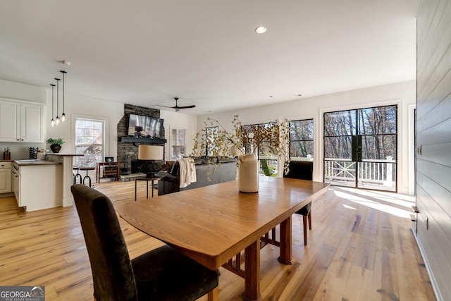 dining space with ceiling fan, a stone fireplace, and light hardwood / wood-style floors