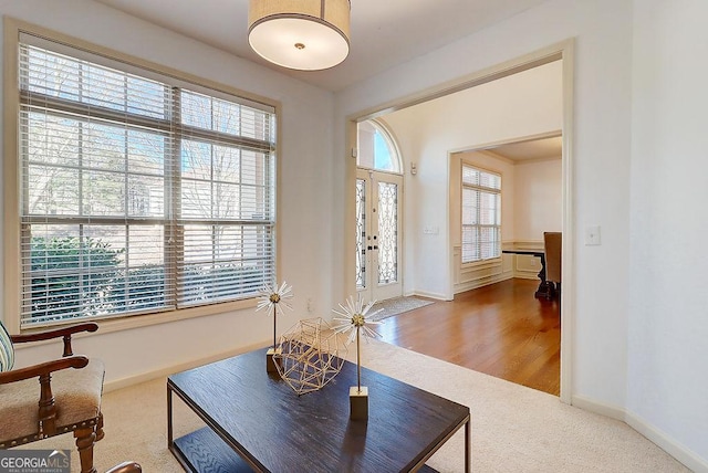 living area with carpet, baseboards, and wood finished floors