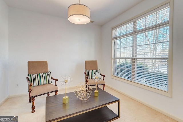 living area with baseboards and carpet floors