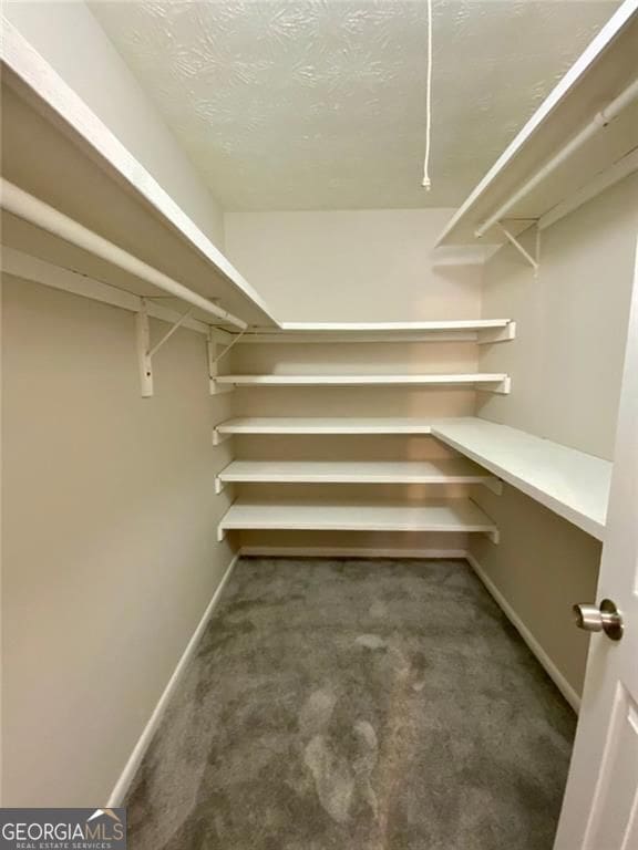 walk in closet with dark colored carpet