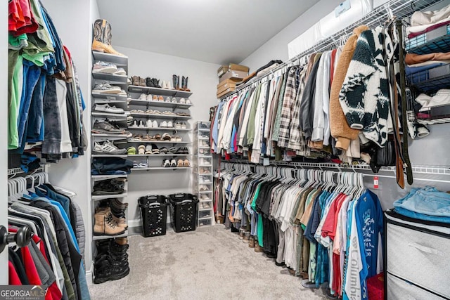 spacious closet featuring carpet