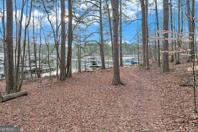 view of yard featuring a water view