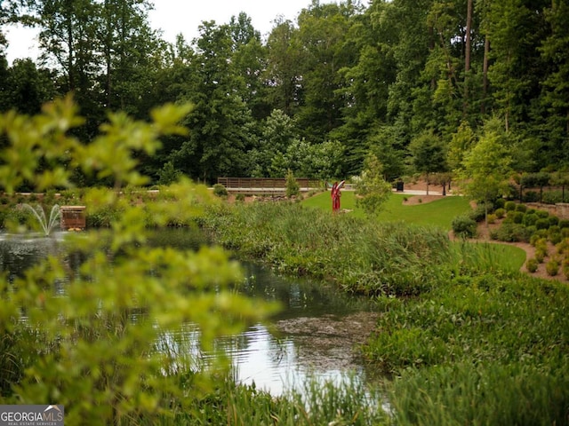 view of water feature