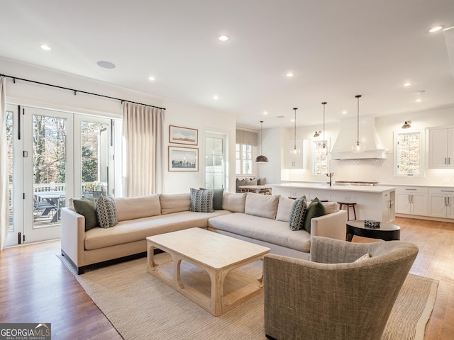 living room with light hardwood / wood-style floors and a wealth of natural light