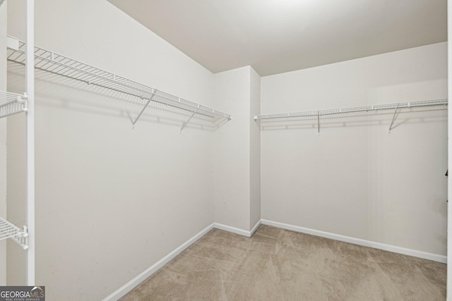 walk in closet with carpet