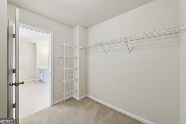 walk in closet with light colored carpet