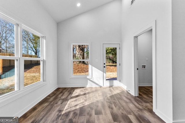 interior space featuring lofted ceiling, dark wood-type flooring, and a wealth of natural light