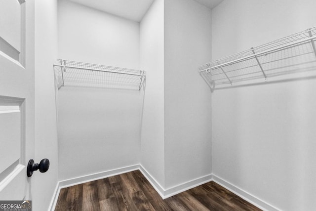 walk in closet with dark wood-type flooring