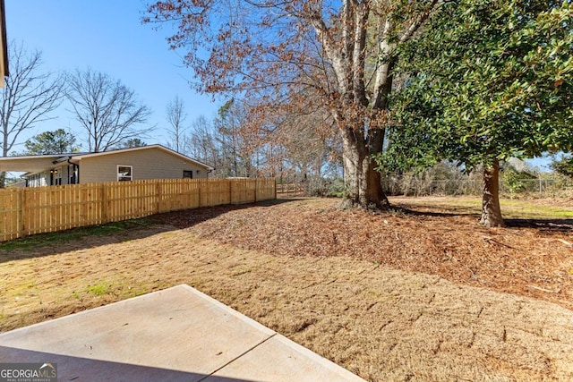 view of yard featuring a patio area