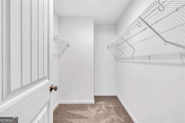 spacious closet with carpet flooring