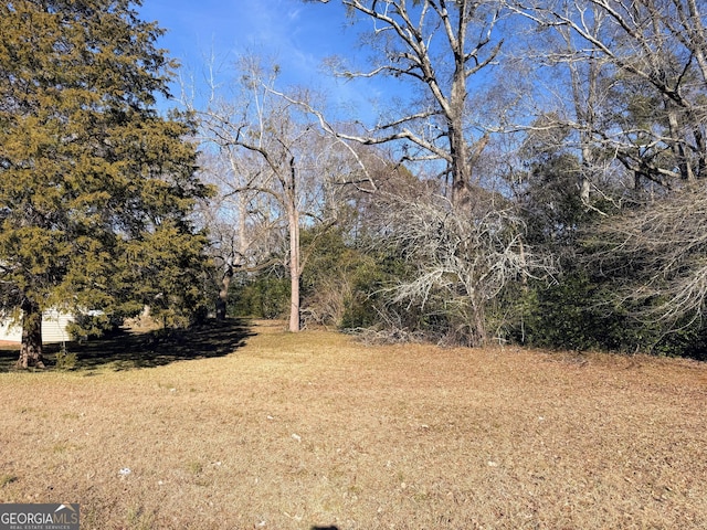 view of local wilderness